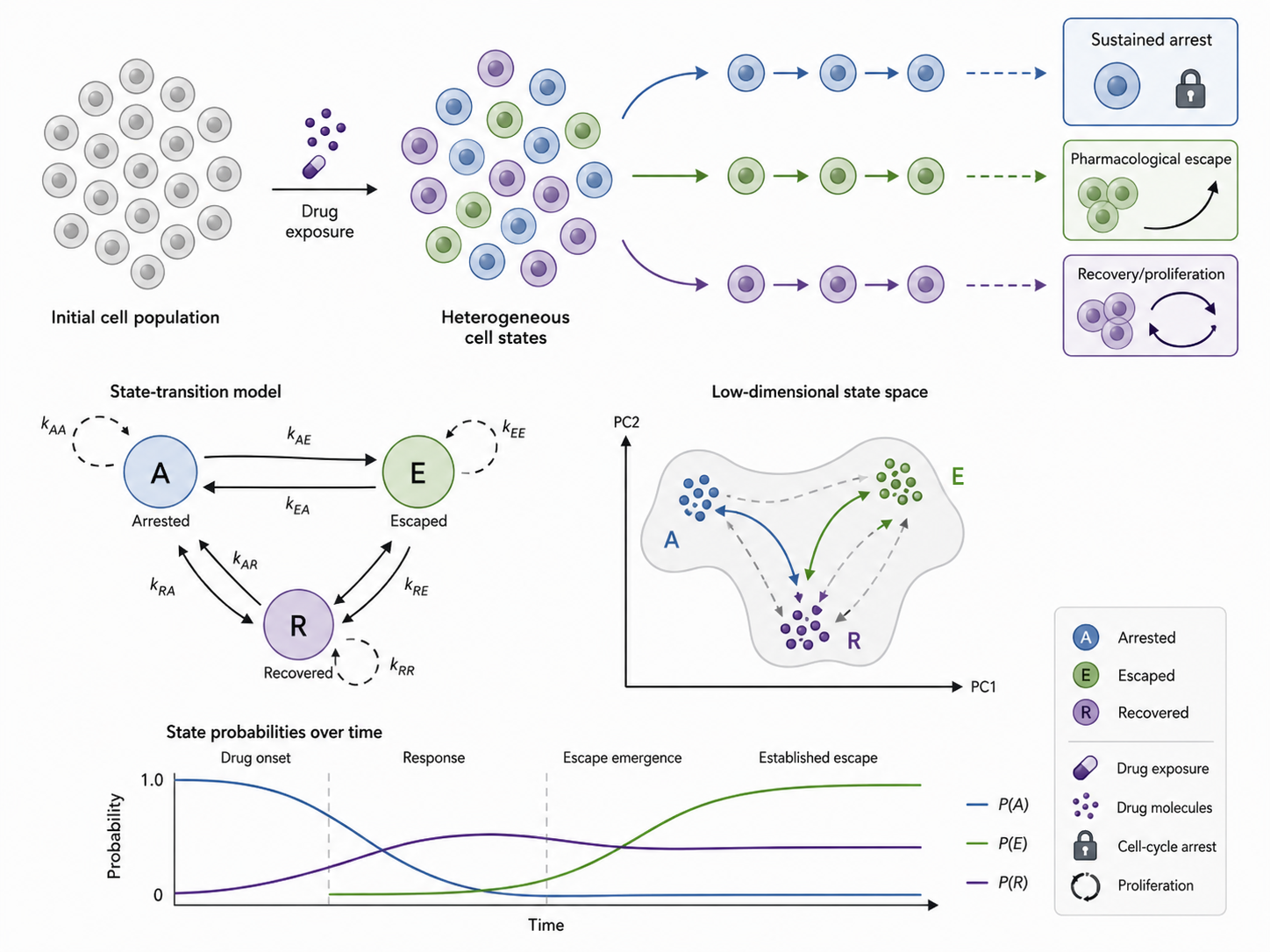 Cell-state heterogeneity and pharmacological escape
